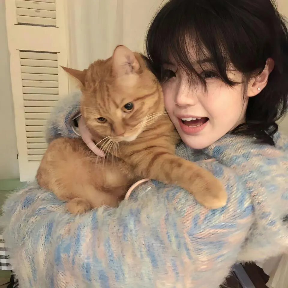 汤姆猫与杰利鼠:海盗寻宝